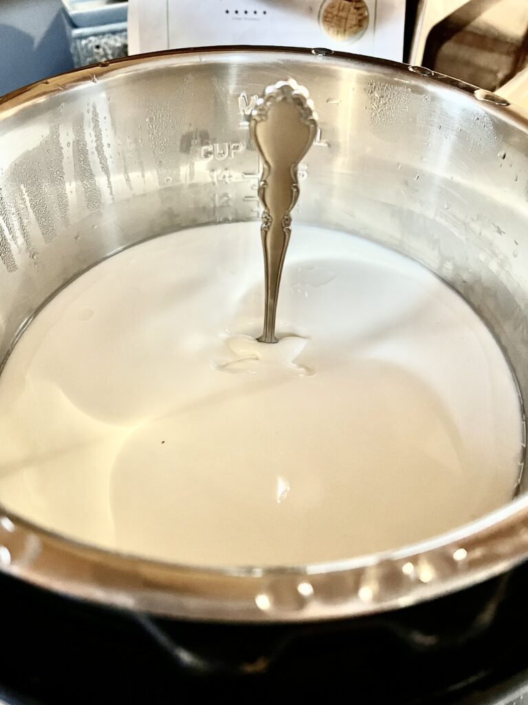 thick homemade Greek style yogurt with spoon standing in the middle